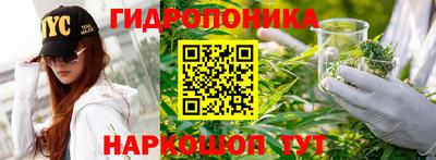 mdpv Можга