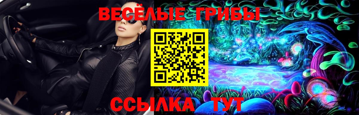 Галлюциногенные грибы GOLDEN TEACHER  Вход с VPN  Севастополь 